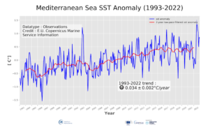 Η θερμοκρασία στη Μεσόγειο θάλασσα αυξάνεται: Ποια είναι η κατάσταση…